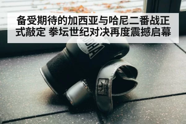 boxing training gloves